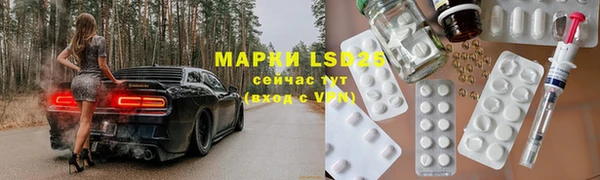 гидра Калининец