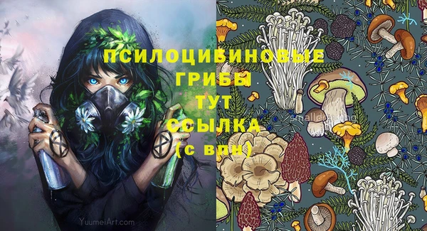 ECSTASY Алексин