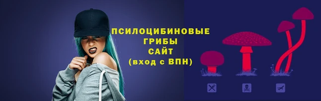 кокаин перу Алзамай