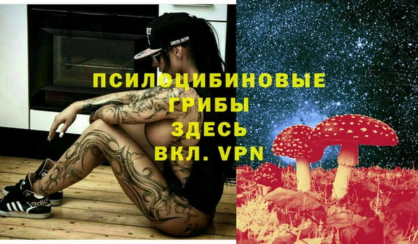 ECSTASY Алексин