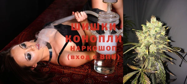 гидра Калининец