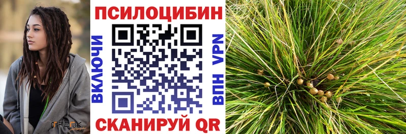 закладка Благодарный Псилоцибиновые грибы прущие грибы